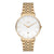 Ferro  F 1796A gold Stainless Steel Strap Kasual Fashion